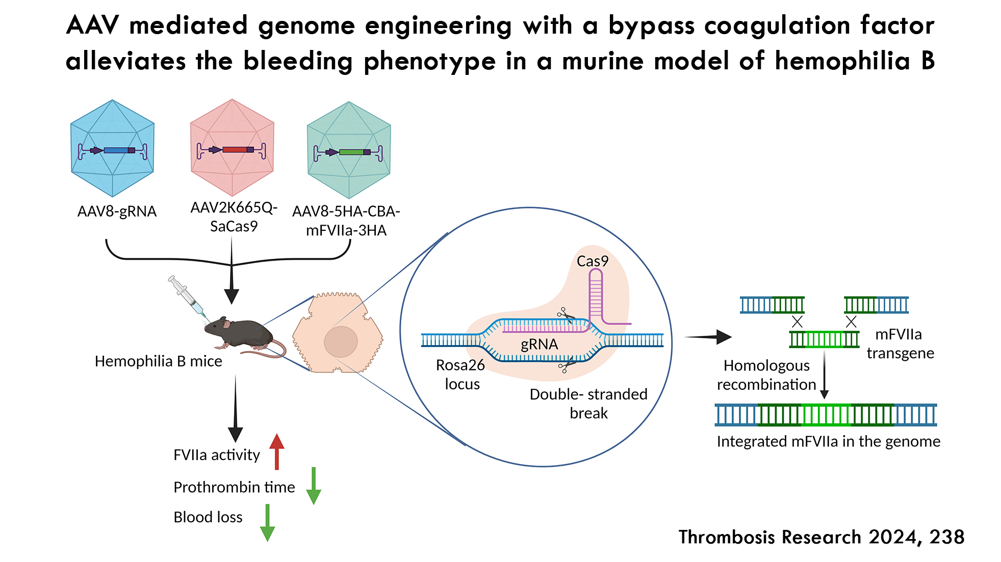 Gene Editing Treatment